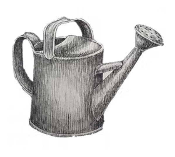 Roughwood Center for Heritage Seedways logo