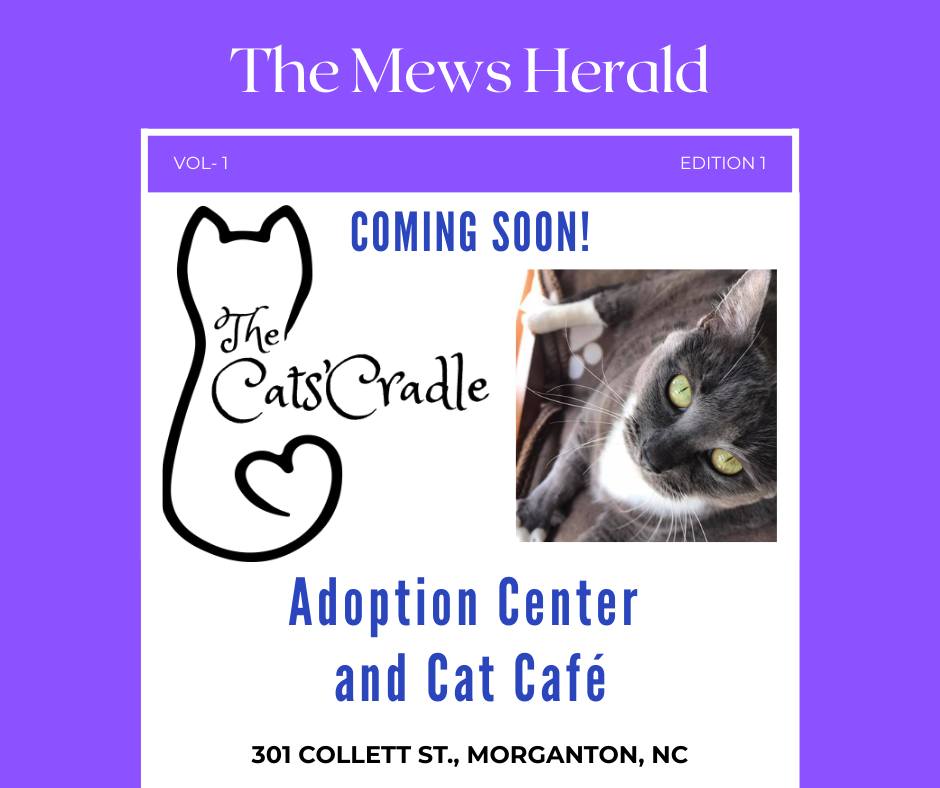 The Cats' Cradle logo