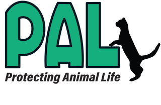 Palnv logo