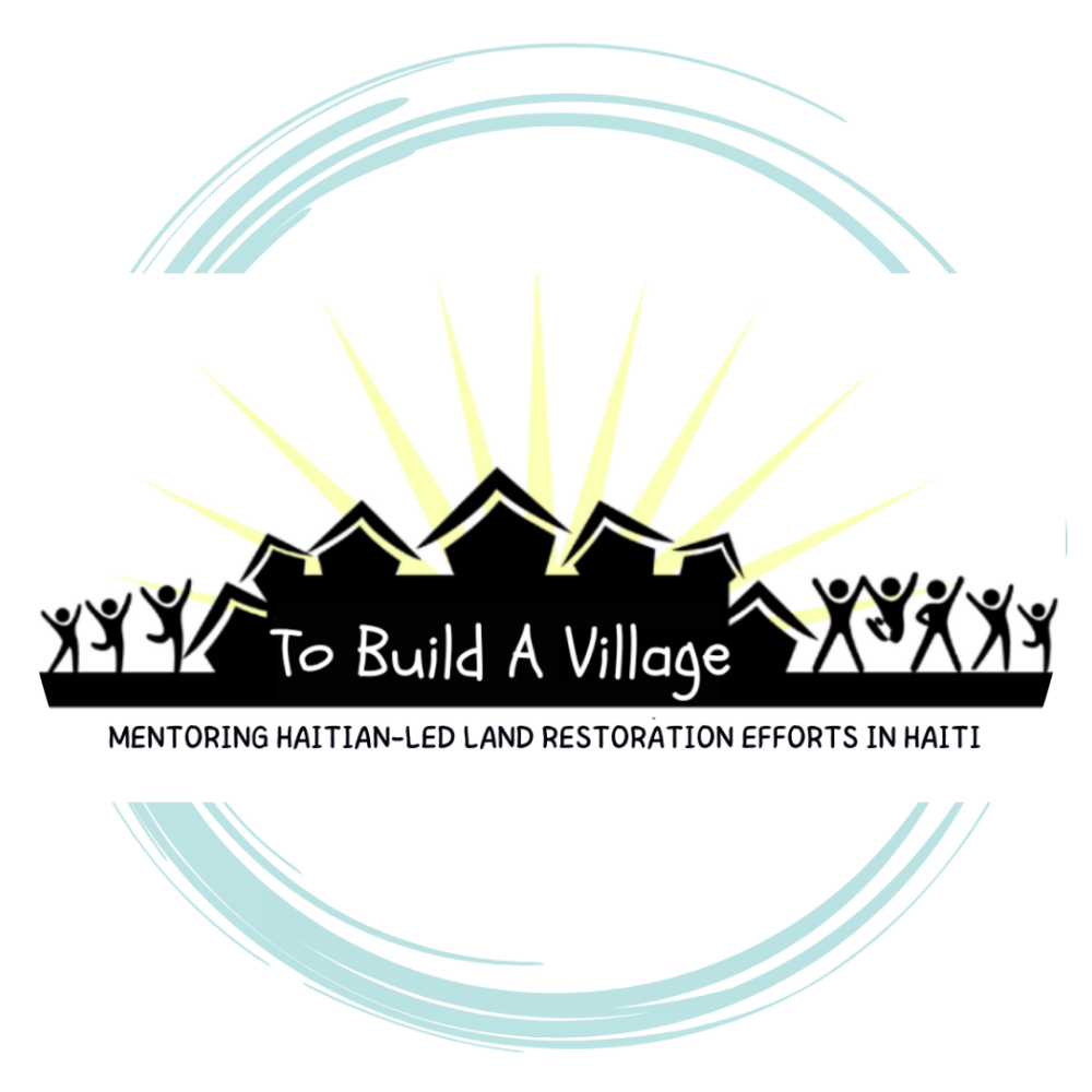 To Build A Village Inc logo