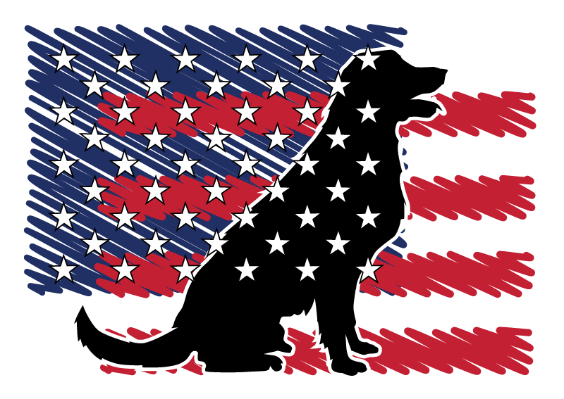 American Disability Rights, Inc. logo