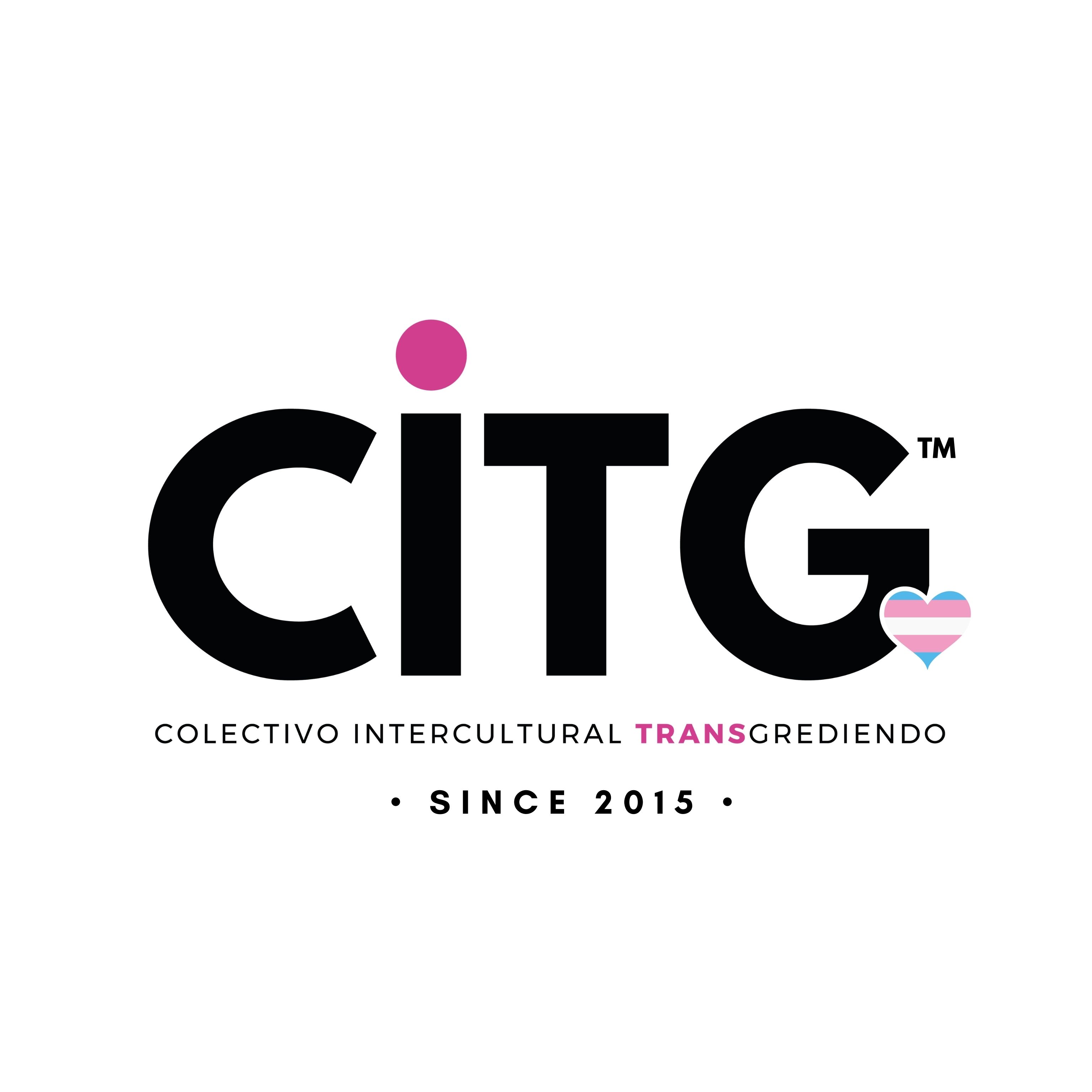 LGBT Center Intercultural Collective Inc logo