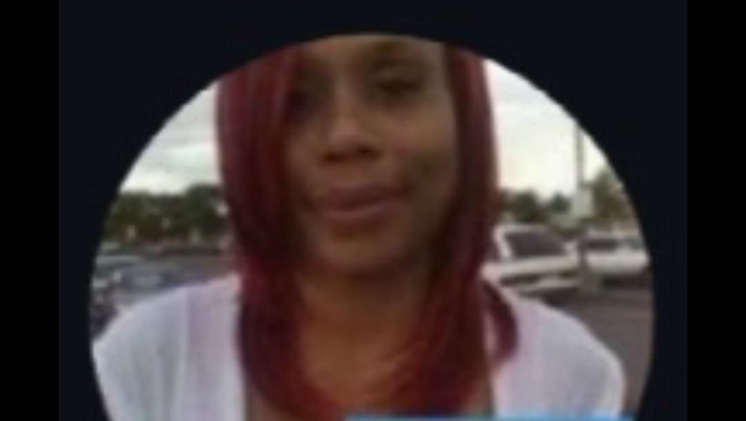 GoFundMe banner for @tina