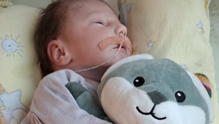 GoFundMe banner for @hana