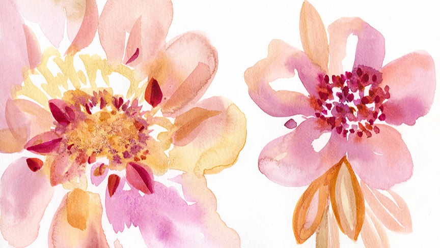 GoFundMe banner for @cherish