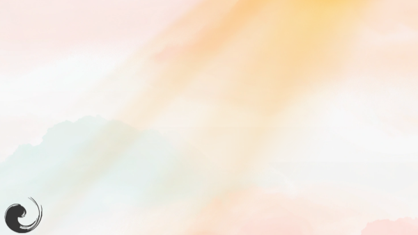 GoFundMe banner for @yume