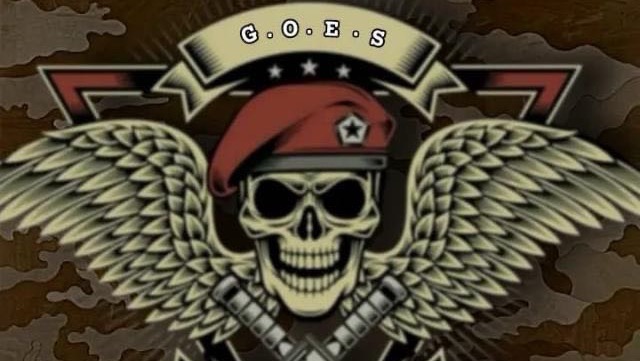 GoFundMe banner for @goes