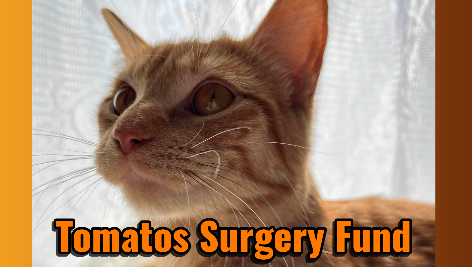GoFundMe banner for @witchy