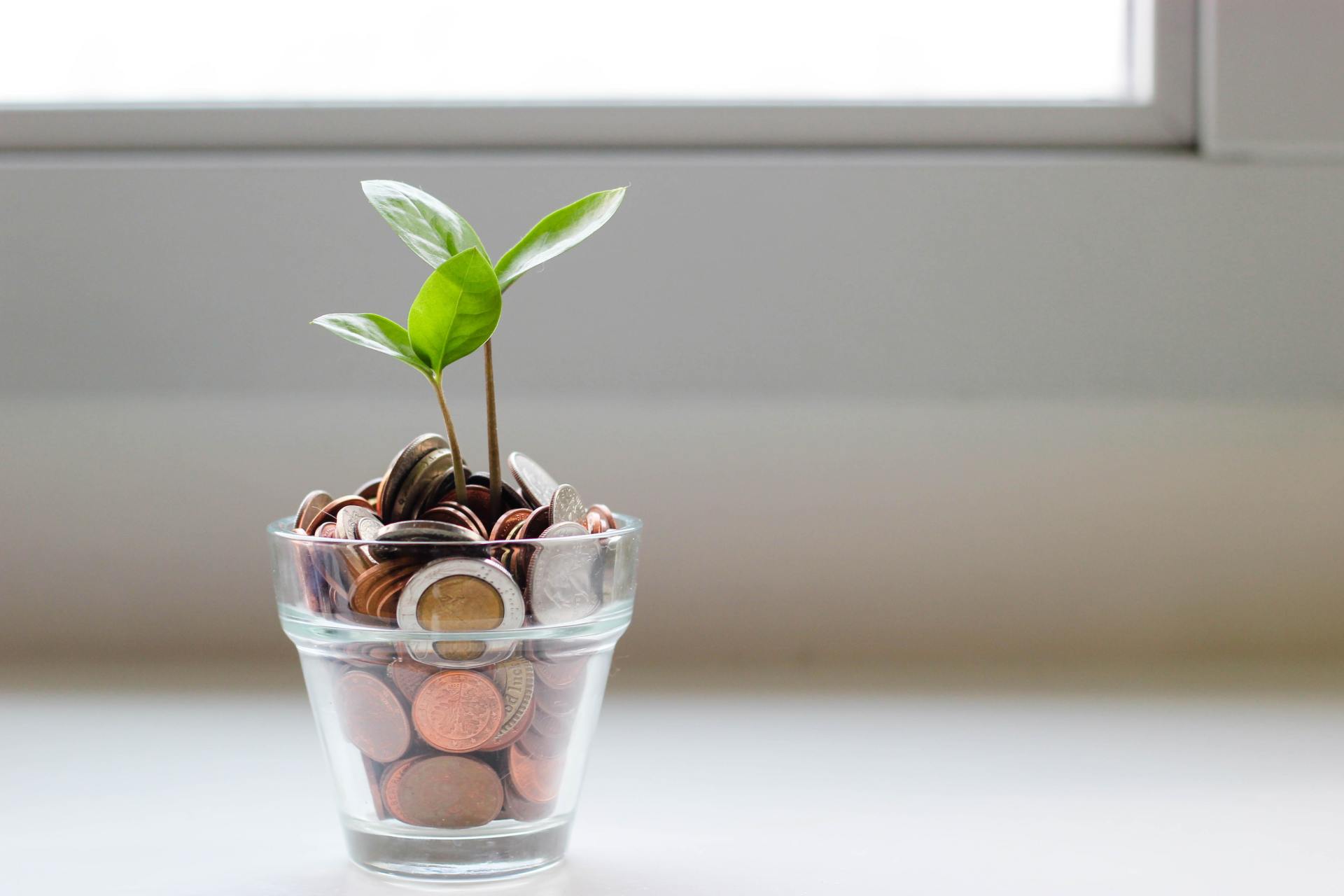 A little pot filled with coins