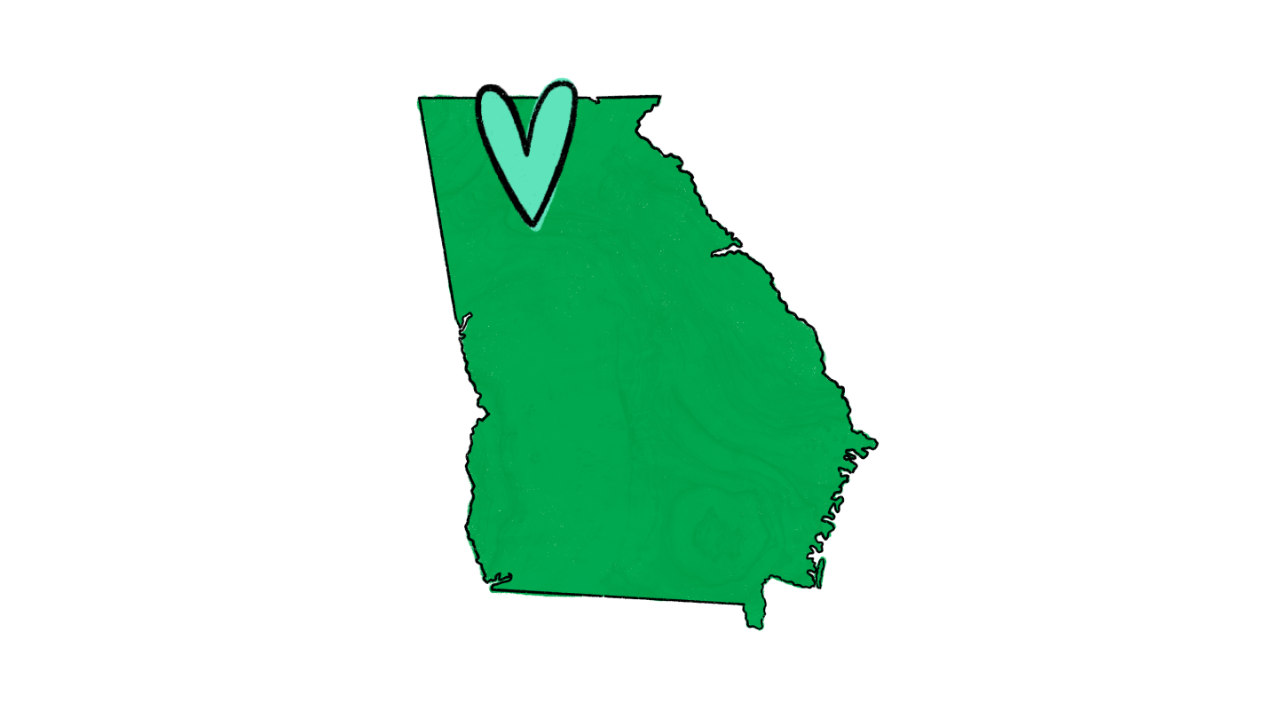 state of georgia outline