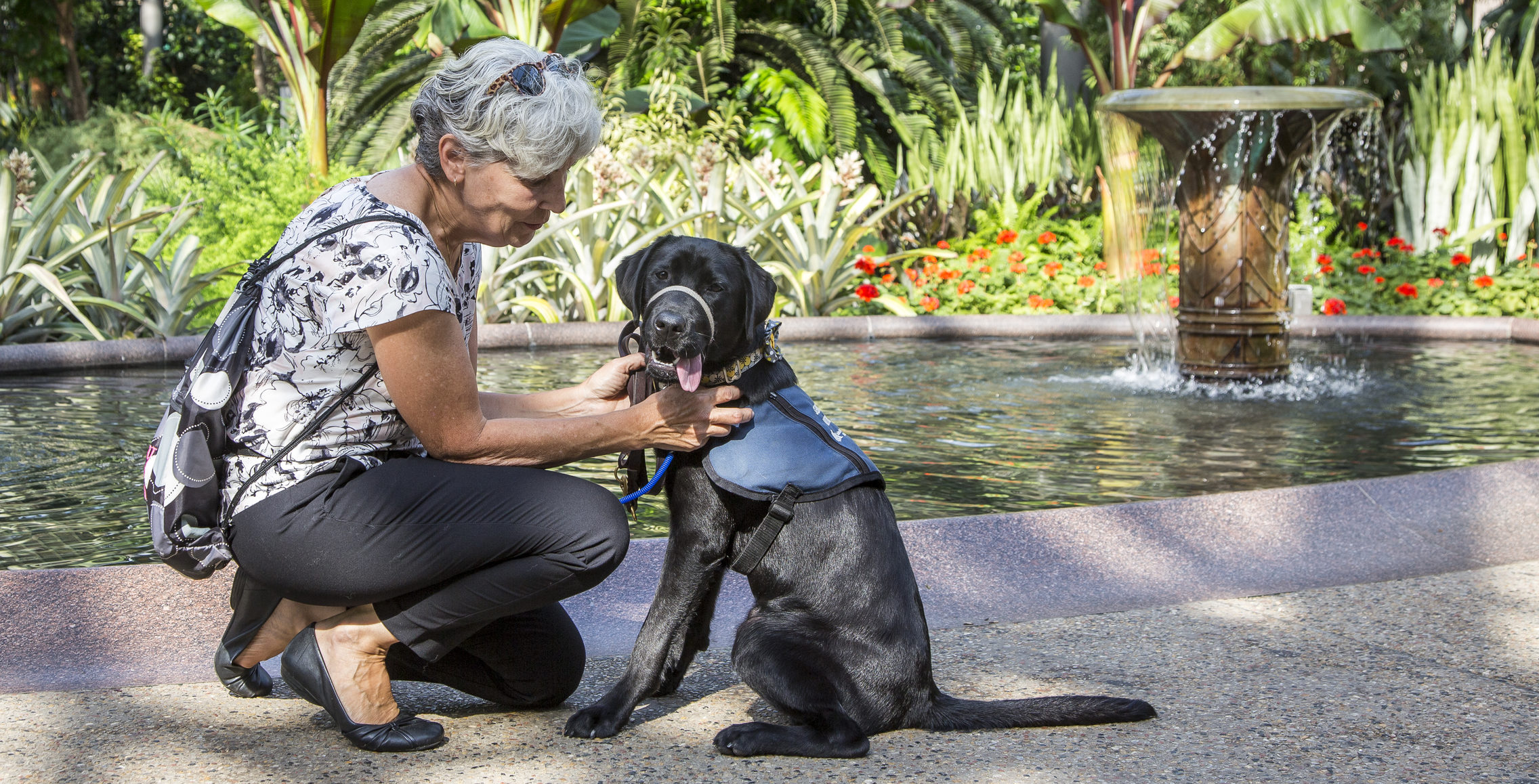 Adopt a service store dog