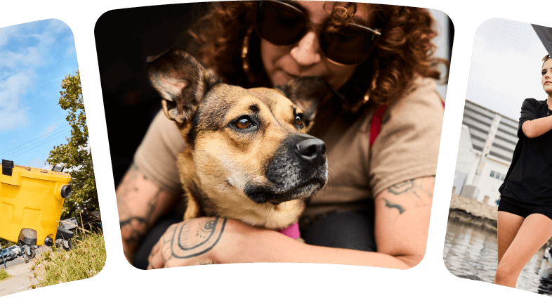 A person cuddling their dog, shown as part of a photo collage